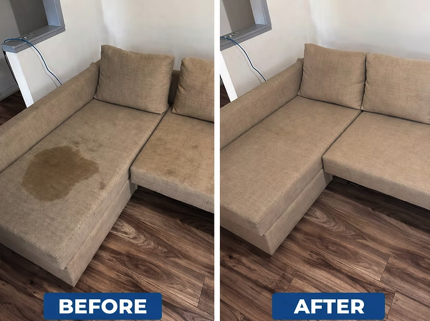 Couch Cleaning before and after