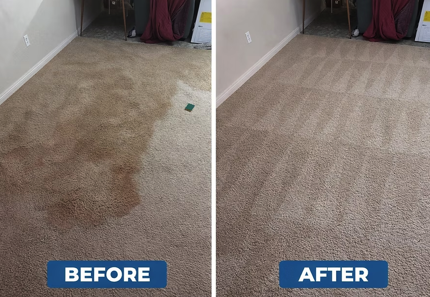Carpet Cleaning before and after